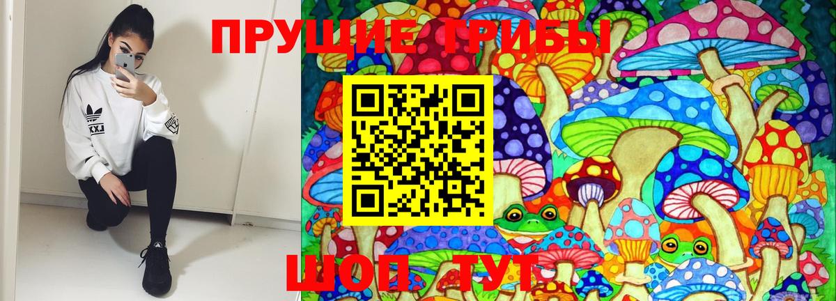 Галлюциногенные грибы Psilocybine cubensis Крымск