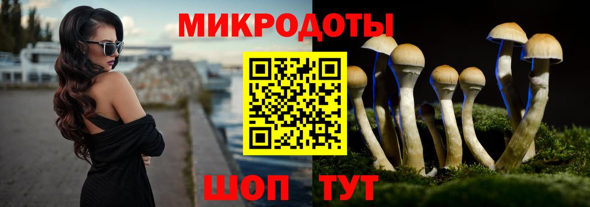 Крымск  Галлюциногенные грибы Magic Shrooms  Вход с VPN 